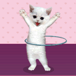 Cat Hula Hooping